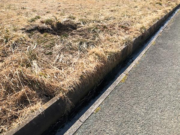 三戸郡階上町大字道仏字耳ケ吠の土地