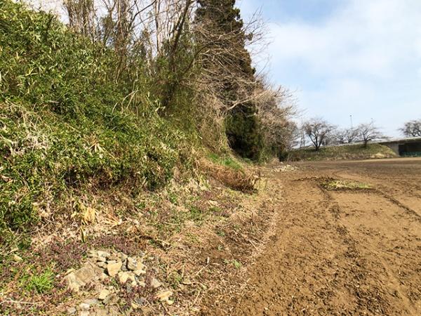 八戸市八太郎４丁目の土地