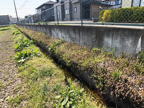 八戸市大字尻内町字尻内河原の土地