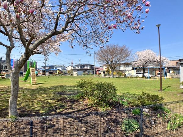 八戸市青葉１丁目の土地(青葉１号公園)
