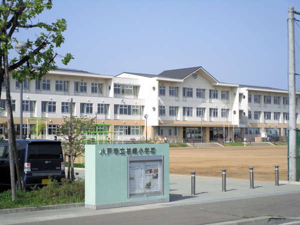 八戸市青葉１丁目の土地(八戸市立柏崎小学校)