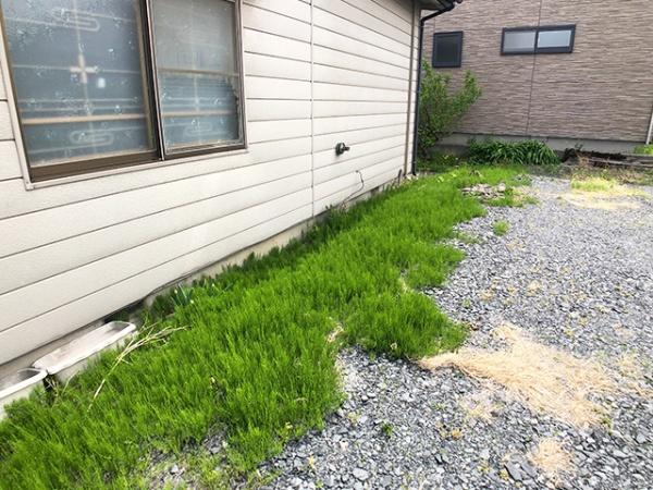 八戸市青葉１丁目の土地