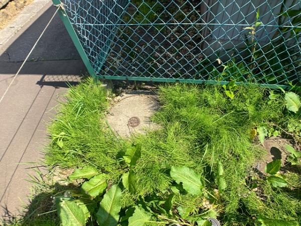 八戸市柏崎３丁目の土地