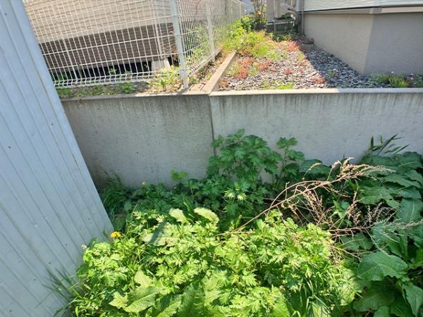 八戸市柏崎３丁目の土地