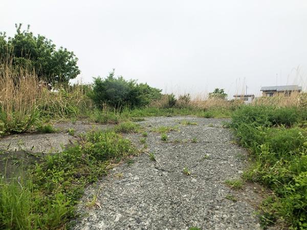八戸市大字白銀町字八森の土地