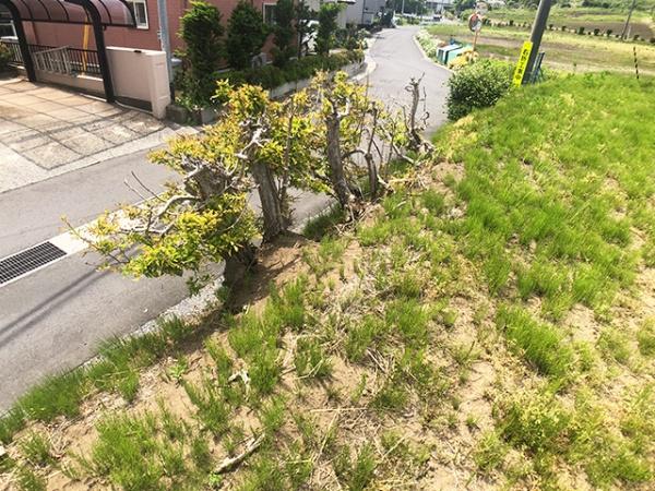 八戸市大字糠塚字五郎兵衛前の土地