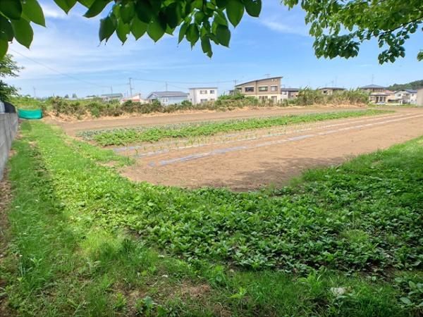 八戸市大字糠塚字五郎兵衛前の土地
