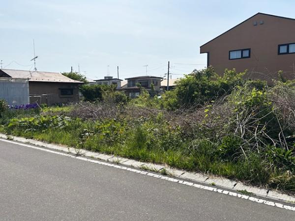 三戸郡階上町大字道仏字耳ケ吠の土地
