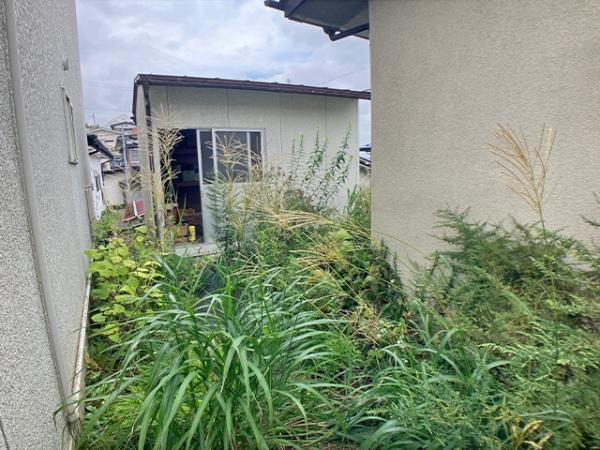 八戸市大字糠塚字大杉平の土地
