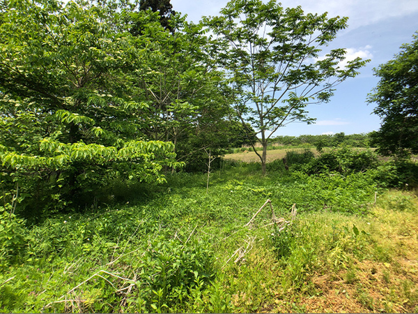 八戸市大字美保野の土地