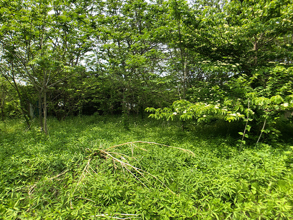 八戸市大字美保野の土地