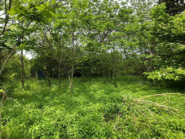 八戸市大字美保野の土地