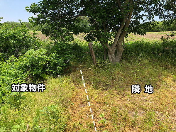八戸市大字美保野の土地