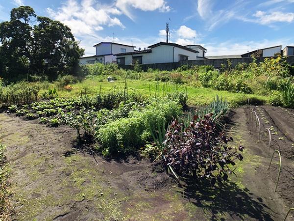 八戸市大字大久保字下長根の土地