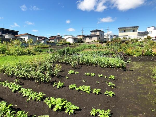 八戸市大字大久保字下長根の土地
