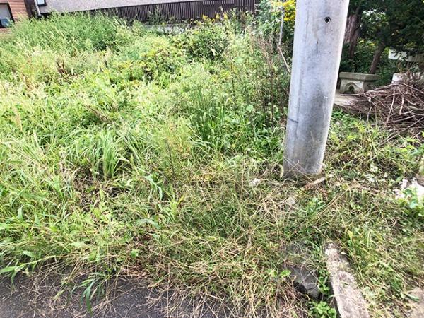 八戸市大字白銀町字右岩淵通の土地
