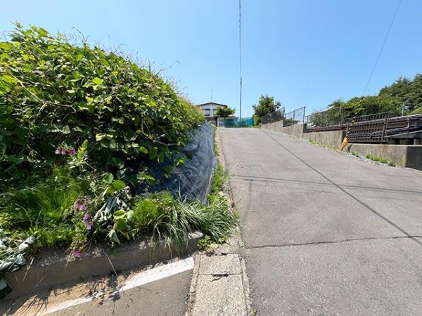 九戸郡洋野町種市第３７地割の土地