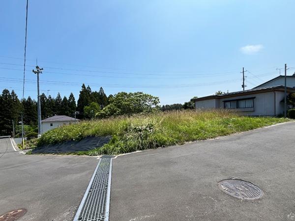 九戸郡洋野町種市第３７地割の土地