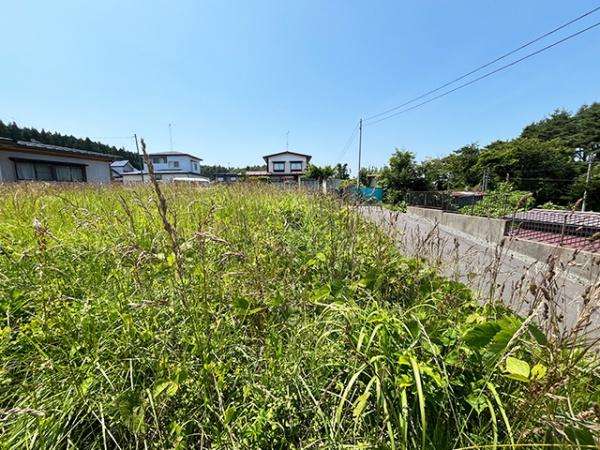 九戸郡洋野町種市第３７地割の土地