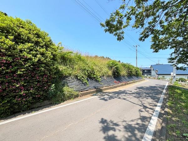九戸郡洋野町種市第３７地割の土地