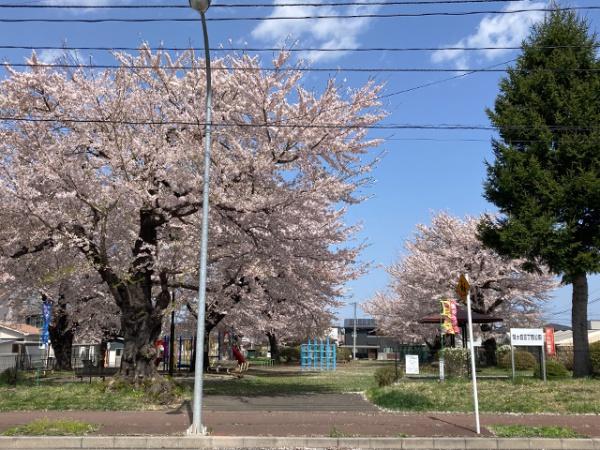 八戸市大字新井田字松山中野場の土地(旭ヶ丘三丁目公園)