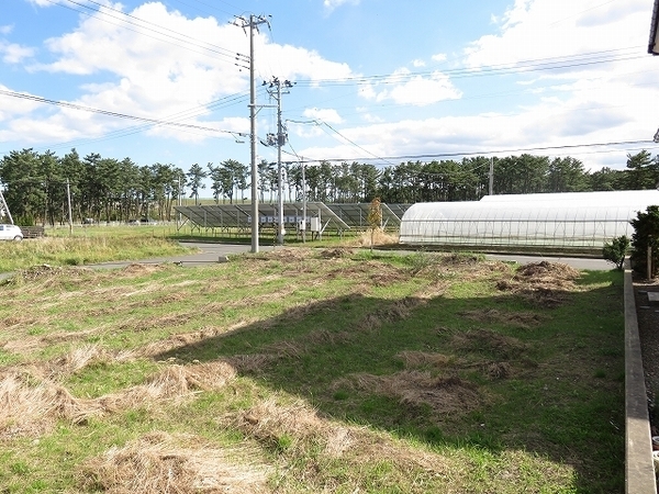 八戸市大字市川町字浜の土地