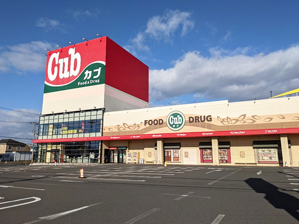 八戸市大字長苗代字前田の土地(カブセンター長苗代店)