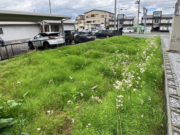 八戸市根城６丁目の土地
