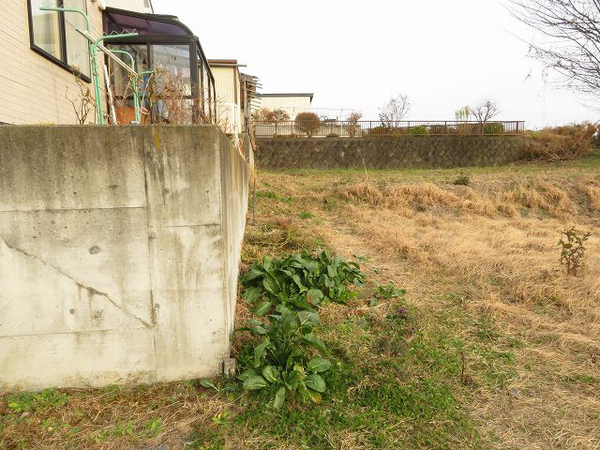 八戸市大字新井田字石仏の土地