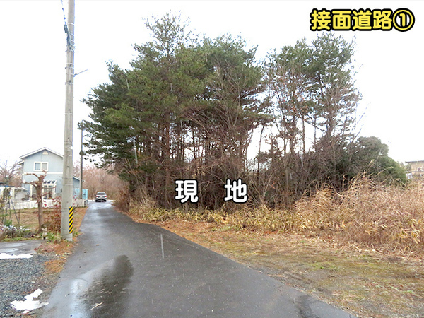 三戸郡階上町大字道仏字横沢山の土地