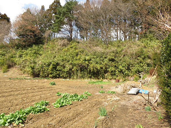 八戸市大字河原木字高館の土地