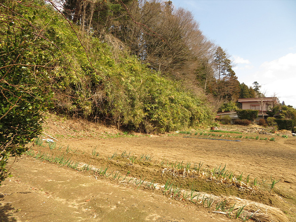 八戸市大字河原木字高館の土地