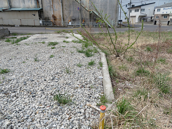 八戸市大字鮫町字日出町の土地