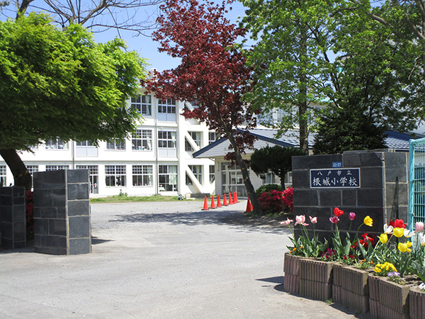 八戸市大字沢里字鹿島沢の土地(八戸市立根城小学校)