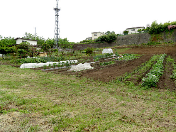 八戸市大字沢里字鹿島沢の土地