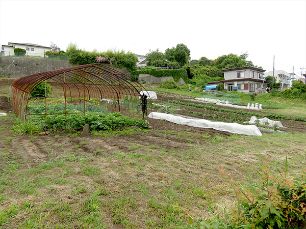 八戸市大字沢里字鹿島沢の土地