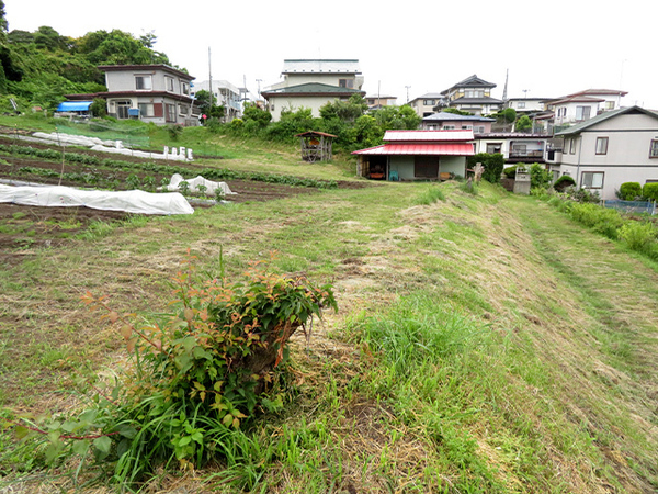 八戸市大字沢里字鹿島沢の土地