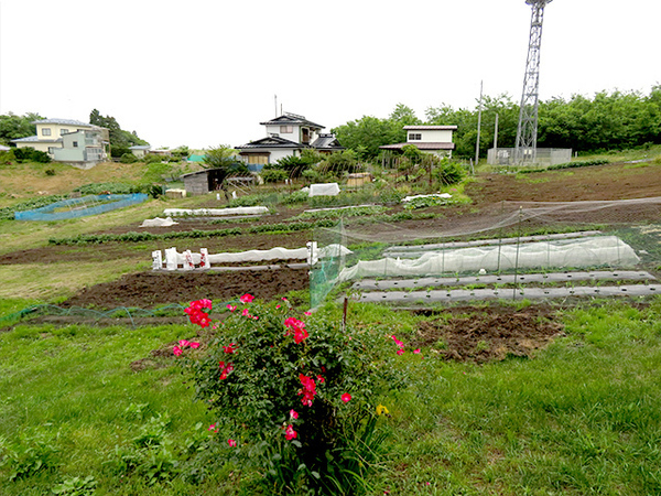 八戸市大字沢里字鹿島沢の土地