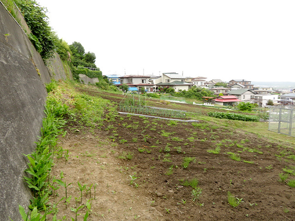 八戸市大字沢里字鹿島沢の土地