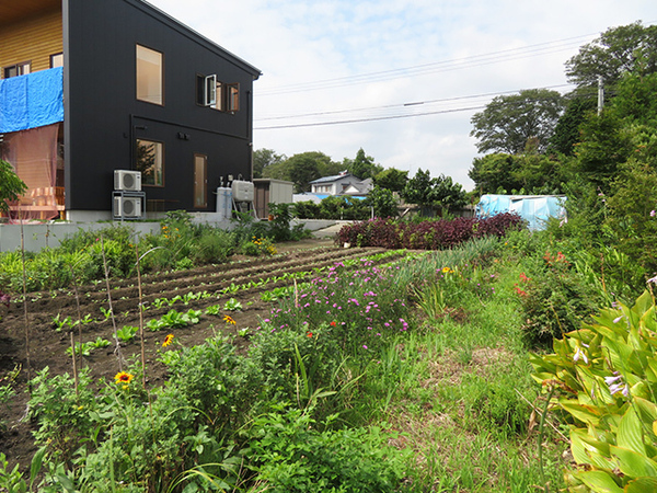 三戸郡五戸町大字上市川字高田の土地