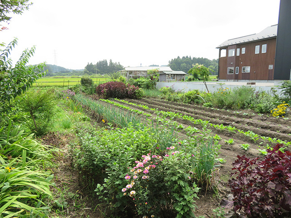 五戸町上市川高田　住宅用売土地　3285（A）