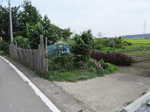 三戸郡五戸町大字上市川字高田の土地