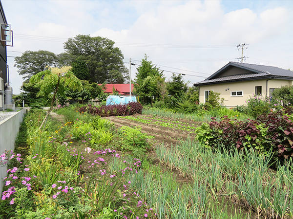 三戸郡五戸町大字上市川字高田の土地