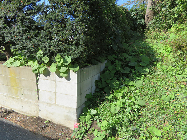 八戸市大字市川町字桔梗野の土地