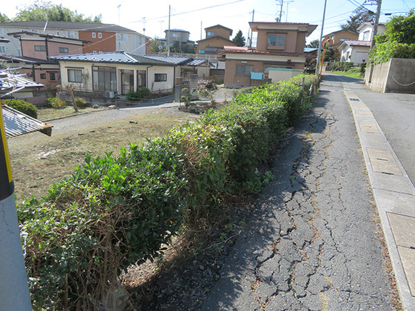 八戸市大字市川町字桔梗野の土地