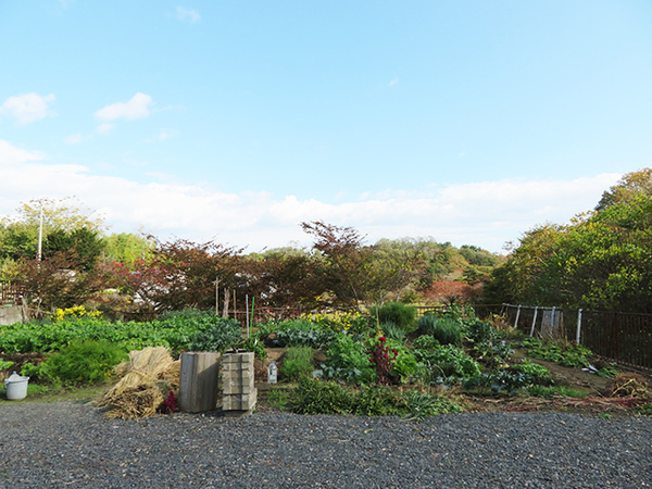 八戸市大字市川町字桔梗野の土地