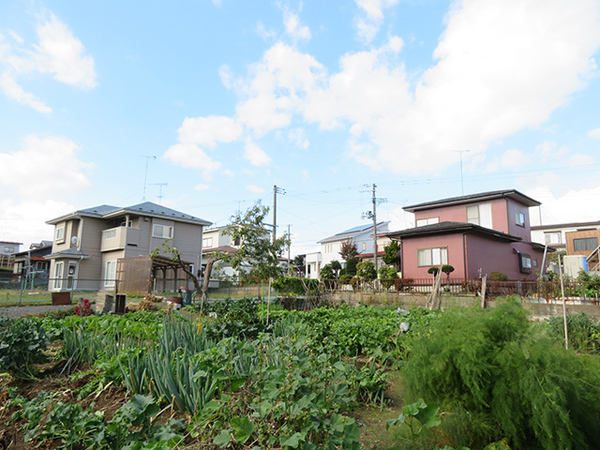 八戸市大字市川町字桔梗野の土地