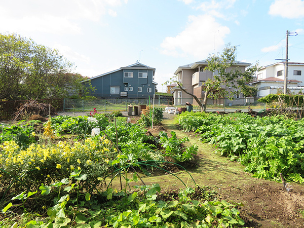 八戸市大字市川町字桔梗野の土地