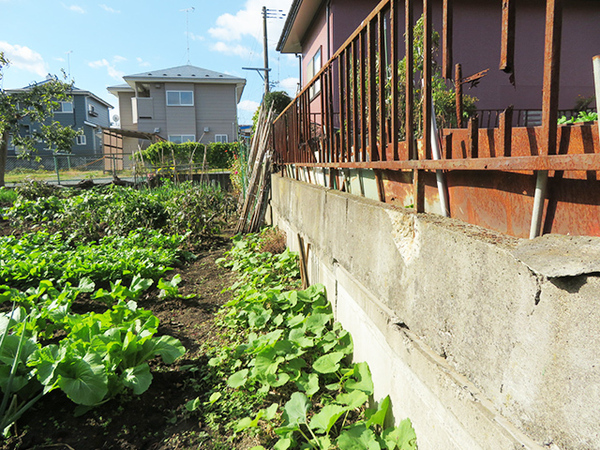 八戸市大字市川町字桔梗野の土地