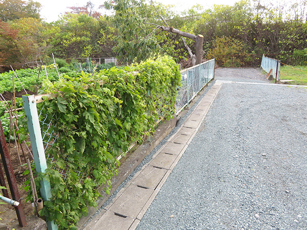 八戸市大字市川町字桔梗野の土地